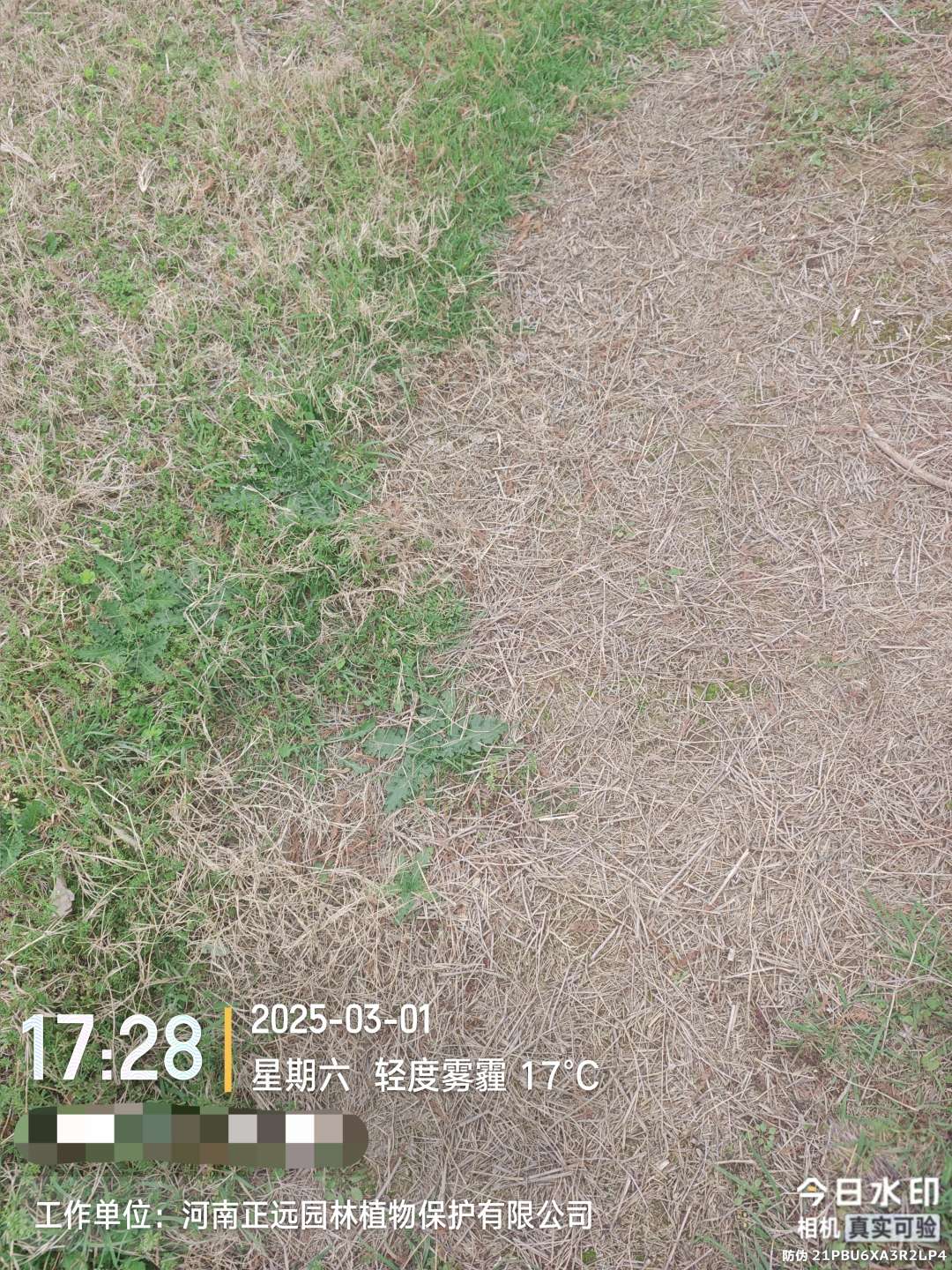 http://st-static1.chinamiddle.com/forums/2026/02/02/17700008917448.jpeg