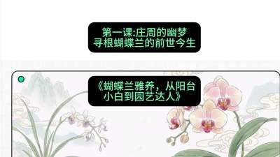 第一节：庄周的幽梦：寻根蝴蝶兰的前世今生，课程：《蝴蝶兰雅养六讲：从阳台小白到园艺达人》#识农AI