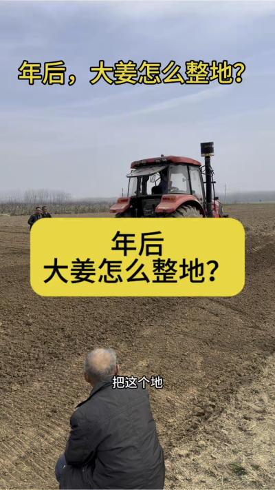 年后，大姜怎么整地？