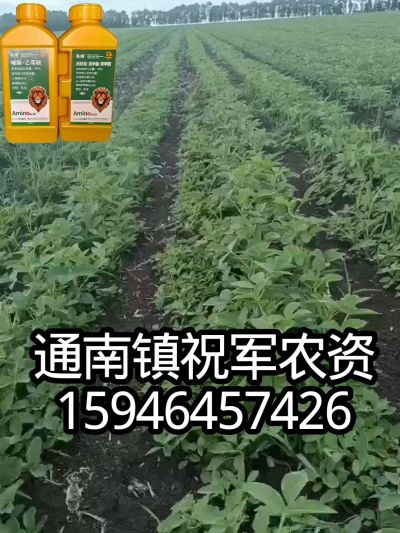 大豆苗前封闭，可封红根苋菜，灰菜，兰花菜，野豆子，捞豆秧等恶性杂草，封杀兼备的高端产品。