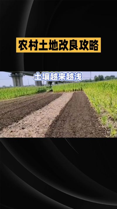 1. 先搞懂：你到底要改良哪块地、种什么
 
- 土土土在哪里？
就是你自家农田、菜地、果园，哪块地想种庄稼，就测哪块地的土。
​
- 有水没有水？
有水能浇：改良更省事，施肥、调酸碱都好操作。
没水