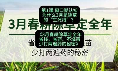 第1节：窗口期认知，为什么3月是除草的&ldquo;生死线&rdquo;？，课程：《3月春耕除草定全年：省钱、省药、不烧苗、少打两遍药的秘密》