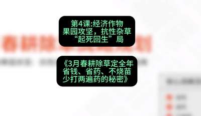 第4节：经济作物果园攻坚，抗性杂草&ldquo;起死回生&rdquo;局，课程：《3月春耕除草定全年：省钱、省药、不烧苗、少打两遍药的秘密》